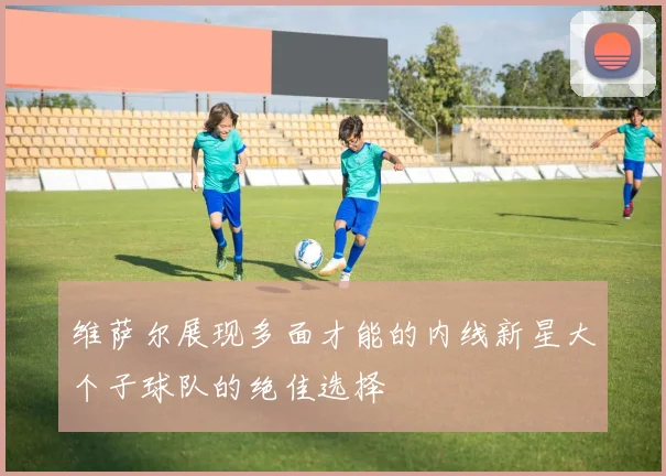 维萨尔展现多面才能的内线新星大个子球队的绝佳选择