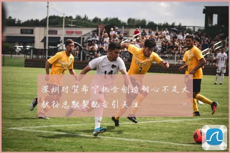 深圳对贺希宁机会创造耐心不足大秋孙总默契配合引关注